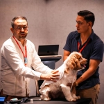 Veterinarios advierten sobre el aumento de problemas digestivos en perros y gatos