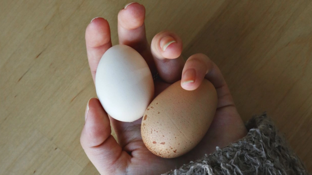 Huevos, Mdsnmdsmmdsn en Pexels