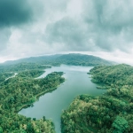 Día del medioambiente: una emergencia que nos afecta a todos
