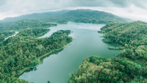 Día del medioambiente: una emergencia que nos afecta a todos