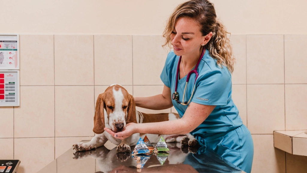 Perro en el veterinario, Inaba