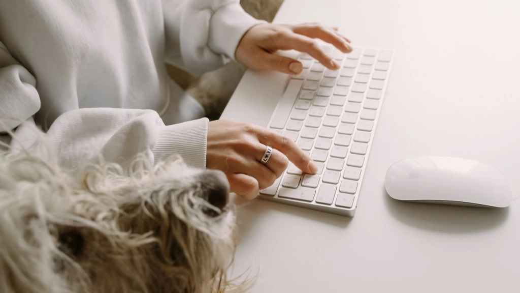 Perro en la oficina, Yaroslav Shuraev en Pexels