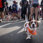 Más de mil antofagastinos y sus animales dieron vida a multitudinaria Corrida Familiar Perruna