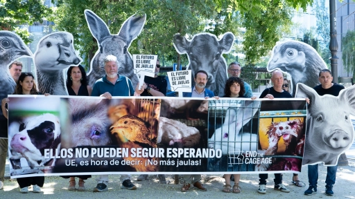 300 millones de animales siguen esperando: Coalición End the cage Age protestó en España 