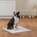 Lluvias: La sabanilla es una buena alternativa para las necesidades del perro