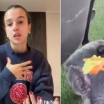 Wasabi, chocolate y cebolla: los alimentos que pueden intoxicar a perros y gatos