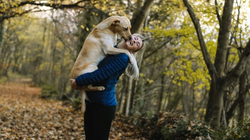 Día Mundial del Perro: Claves para su cuidado y tenencia responsable