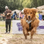 Vuelve GuauFest: el primer parque de diversiones 100% para perros abre la preventa de su esperada segunda edición