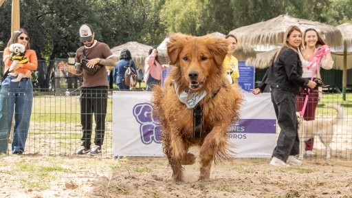 Vuelve GuauFest: el primer parque de diversiones 100% para perros abre la preventa de su esperada segunda edición