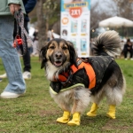 La Florida se prepara para recibir a miles de familias en una nueva versión de Expo Patitas 2026