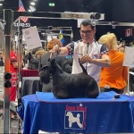 Grooming Connection reunirá en Chile a uno de los mayores referentes de la peluquería canina internacional