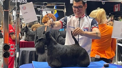 Grooming Connection reunirá en Chile a uno de los mayores referentes de la peluquería canina internacional