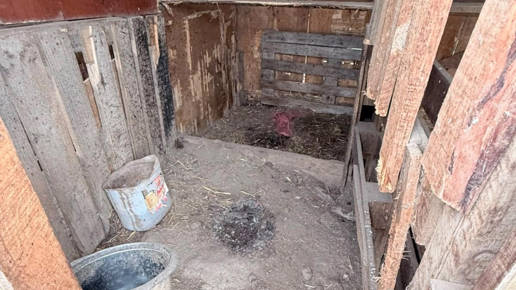 Rescate Doñihue / Brigada Galgos