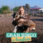 Santuario Empatía realizará bingo solidario en beneficio de sus animales rescatados
