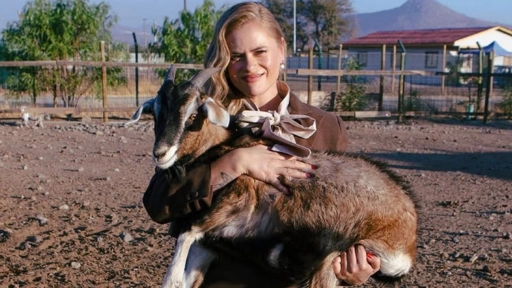 Santuario Empatía realizará bingo solidario en beneficio de sus animales rescatados