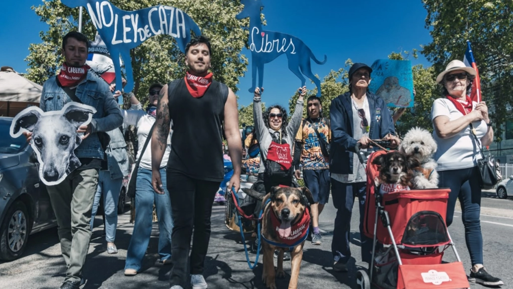 Joan Álvarez Leiva - marcha Valparaíso /  @anitaleivafotografa