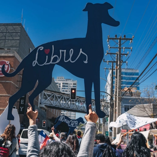 Marcha Valparaíso / @anitaleivafotografa