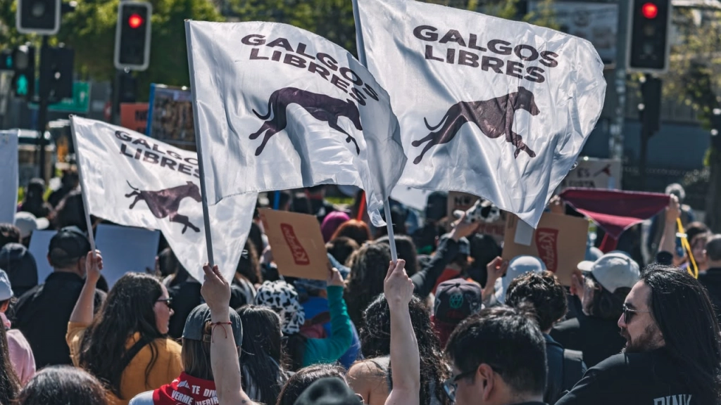 Marcha Valparaíso, @anitaleivafotografa