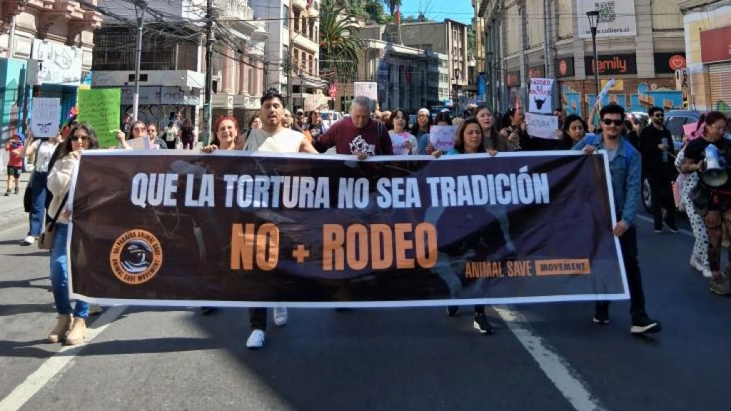 Marcha Valparaíso, Difusión