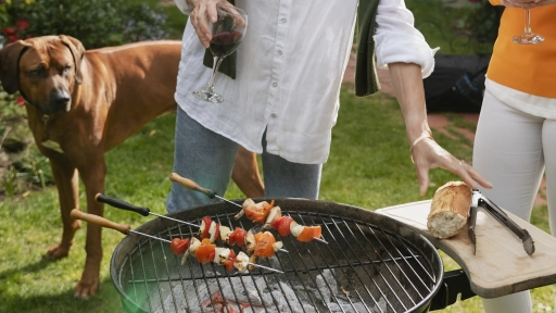 Fiestas Patrias: Alimentos prohibidos para perros y gatos