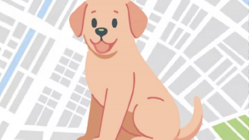 PeluSOS: Una app que nace para que el aviso de un animal extraviado no se pierda entre los mensajes