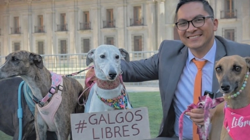 Diputado Videla exige que se vote la prohibición de las carreras de galgos: Basta de maniobras, que se respete la democracia