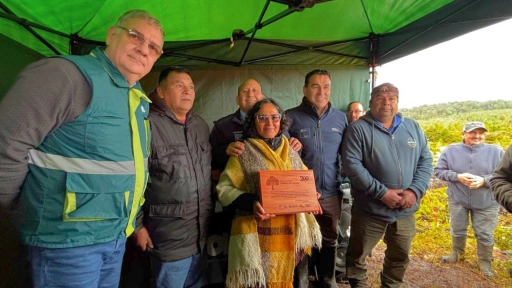 Culminan proyecto de restauración de 75 hectáreas de bosque nativo para enfrentar el cambio climático