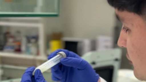 Única en su tipo en Chile: la startup que ya vende ciencia veterinaria a seis países