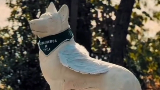 Carabineros realizará un homenaje a los animales fallecidos: invitan a enviar fotografías desde todo Chile