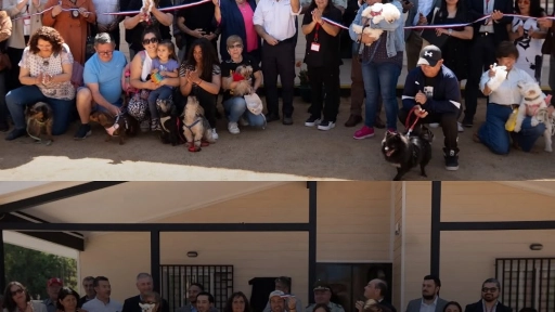 Talagante inaugura un nuevo Centro Veterinario para fortalecer el cuidado y bienestar animal
